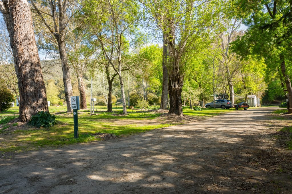Spacious camping sites under mature trees at Bright Accommodation Park with mountain views in Bright, Victoria