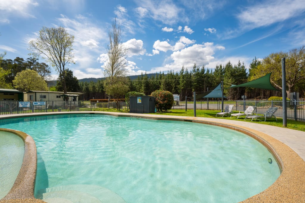 Outdoor swimming pool with mountain views at Bright Accommodation Park, surrounded by lawn and loungers