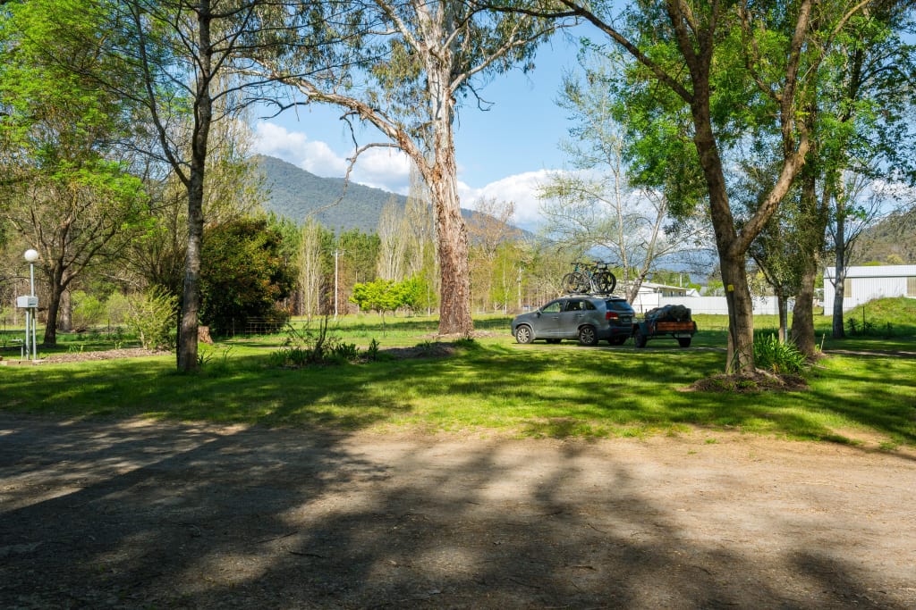 Shaded grassy camping site with mountain views at Bright Accommodation Park, Great Alpine Road, Victoria