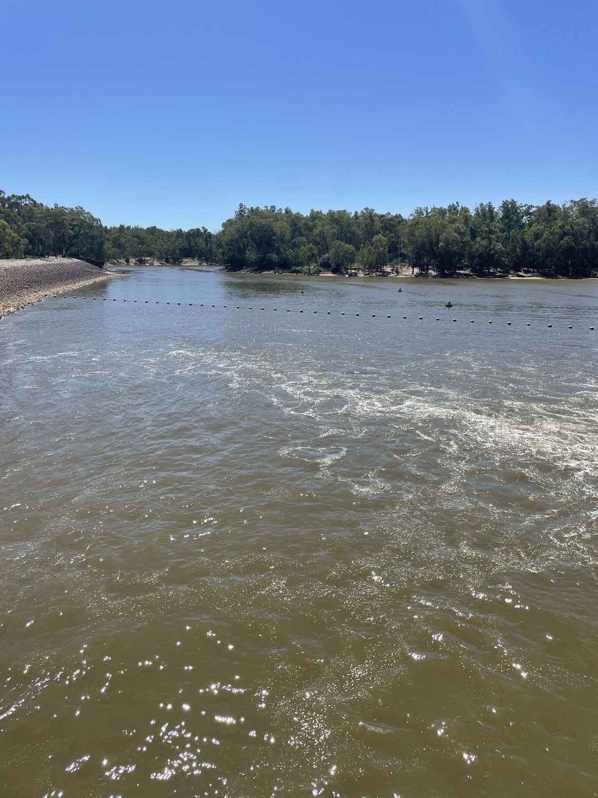 Murray river below the weir framed by red gum lined banks at Torrumbarry Weir Holiday Park
