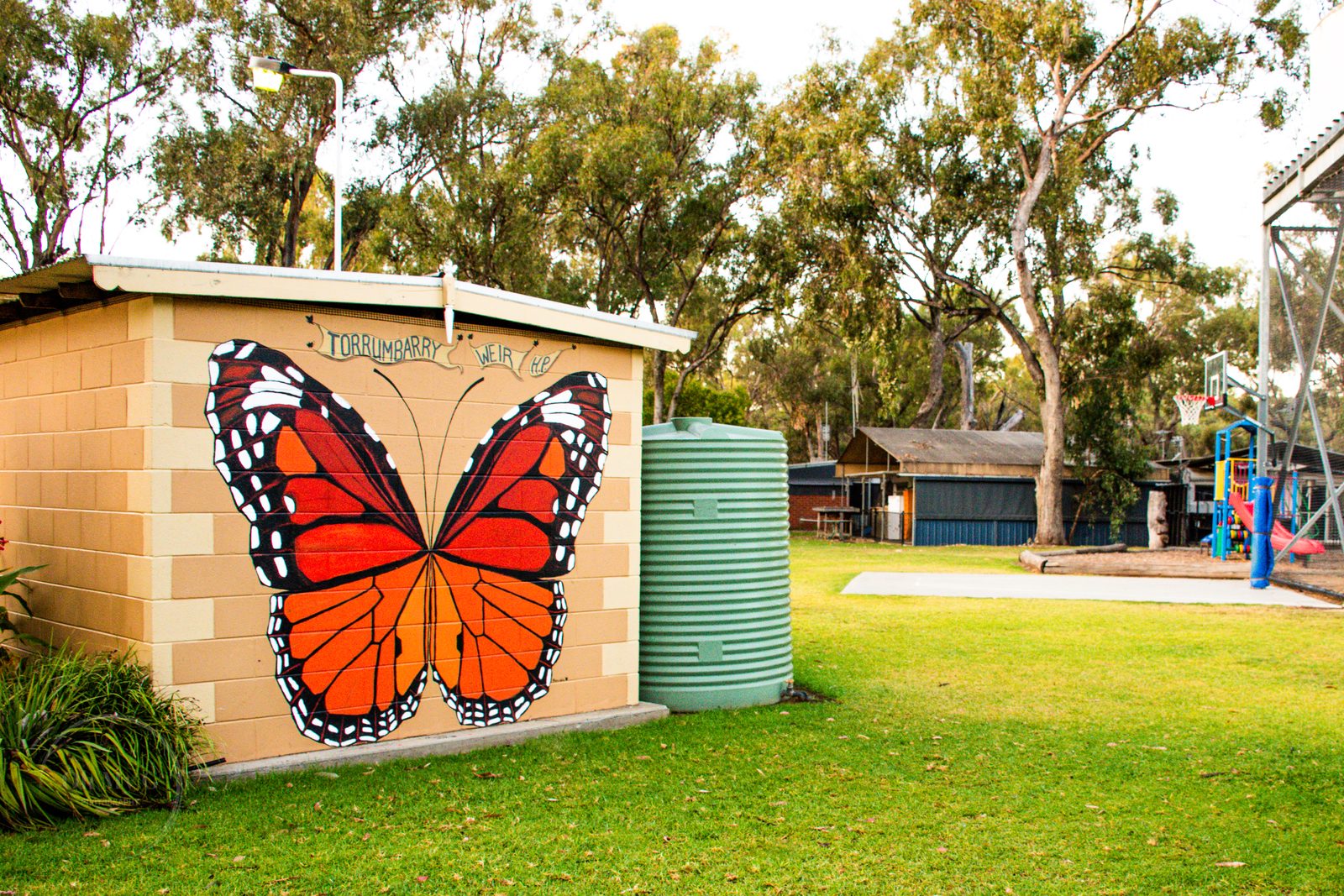 Colourful monarch butterfly mural on a brick shed at Torrumbarry Weir Holiday Park, with playground visible beyond the lawn