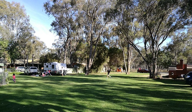 Grassy powered site at Torrumbarry Weir Holiday Park, Patho, with caravan, tow vehicle and family relaxing under gum trees