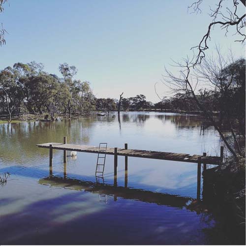 Wooden jetty with ladder on the calm river at Torrumbarry Weir Holiday Park, Patho VIC, framed by gum trees