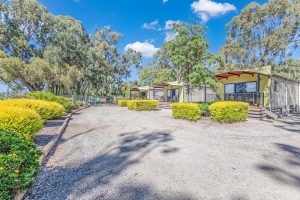 gallery cabin riverview17 300x200