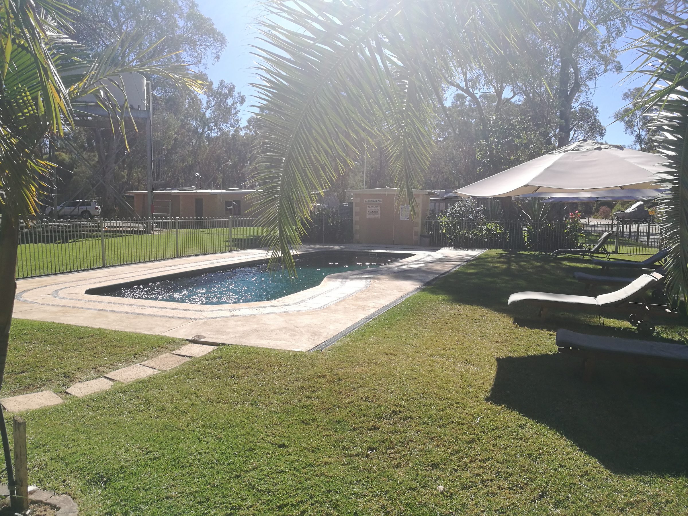 Pool with shade umbrella palms and white sun lounger at Torrumbarry Weir Holiday Park