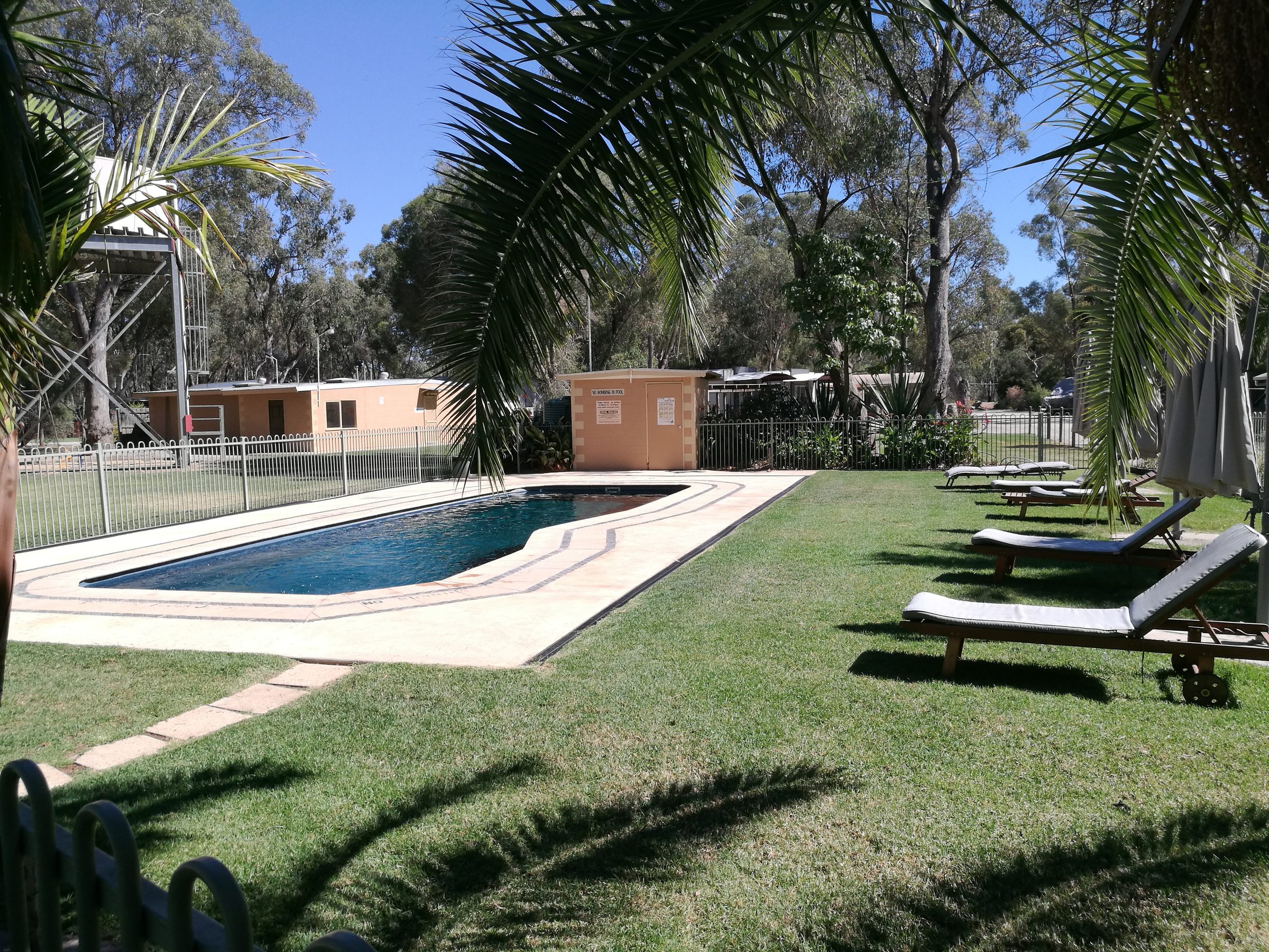 Pool with palm trees sun loungers and amenities block beyond at Torrumbarry Weir Holiday Park