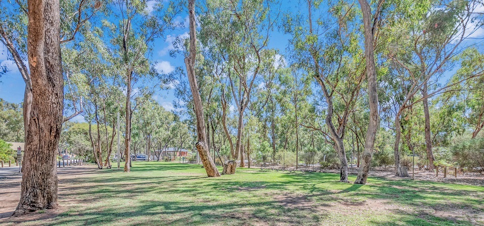Shaded grassy grounds under tall river gum trees at Torrumbarry Weir Holiday Park, Patho VIC caravan park