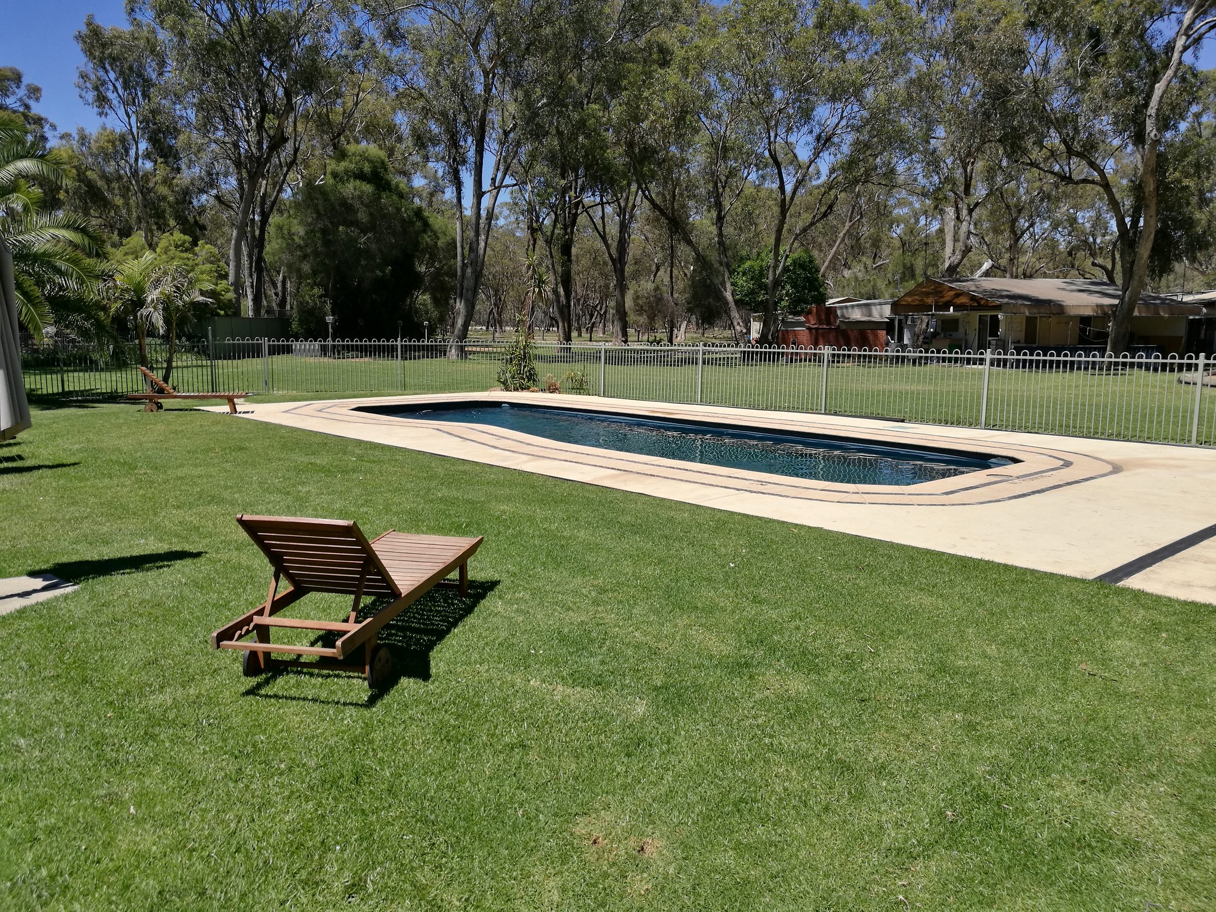 Fenced swimming pool with lounger on lawn under gum trees at Torrumbarry Weir Holiday Park